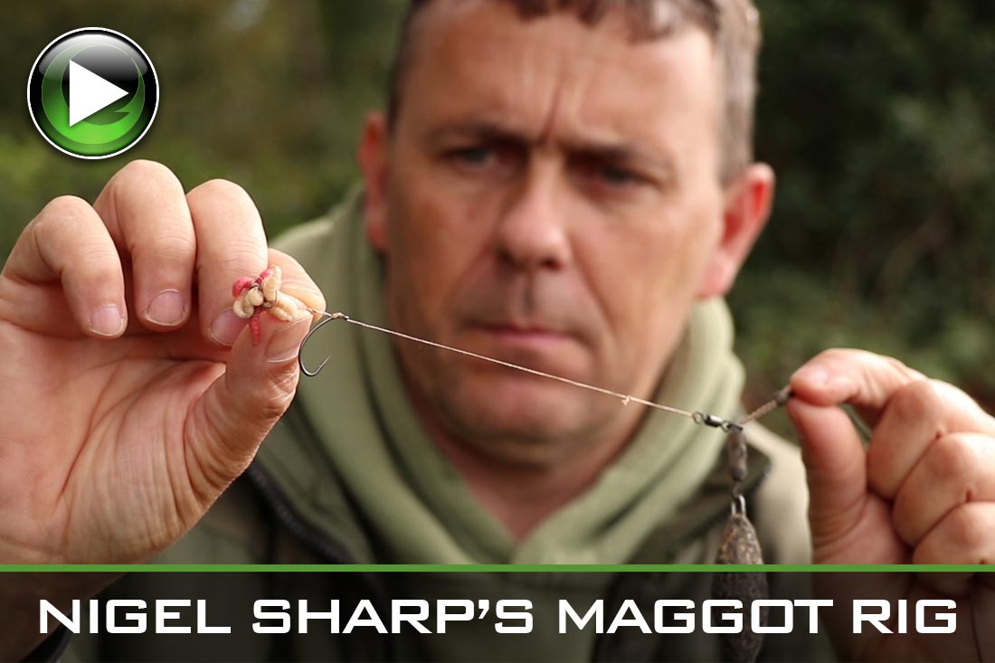 Carp Fishing ~ Nigel Sharp’s Favourite Maggot Rig ~ Video
