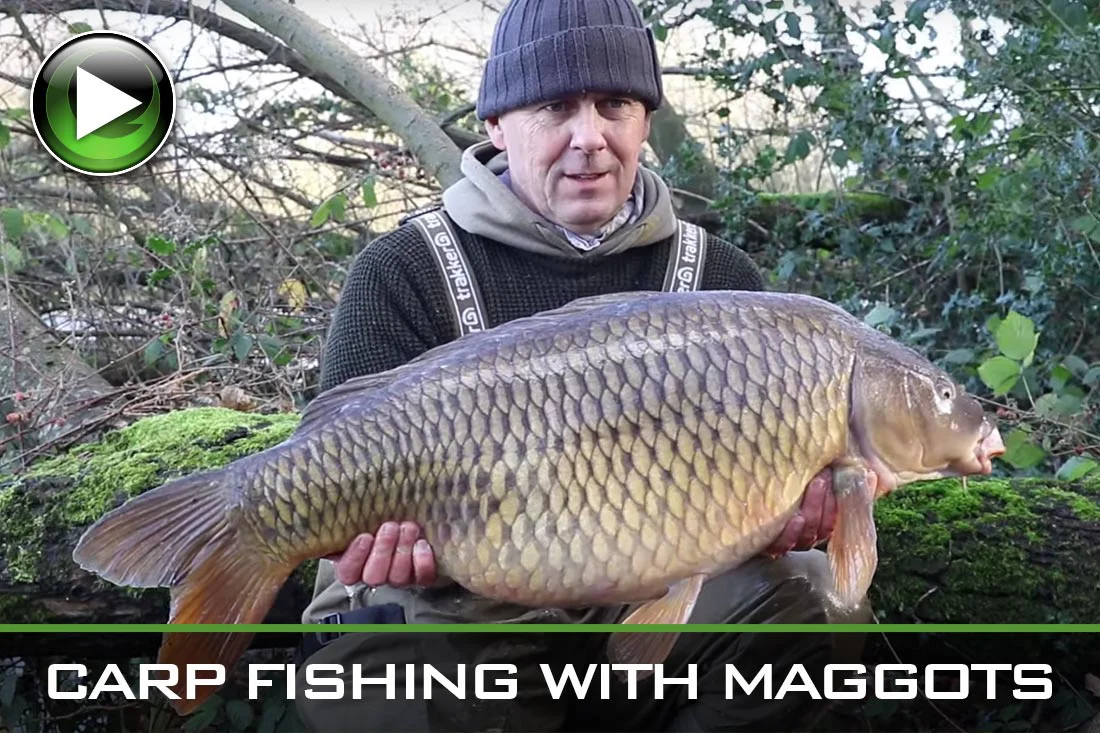 Carp Fishing With Maggots – Video