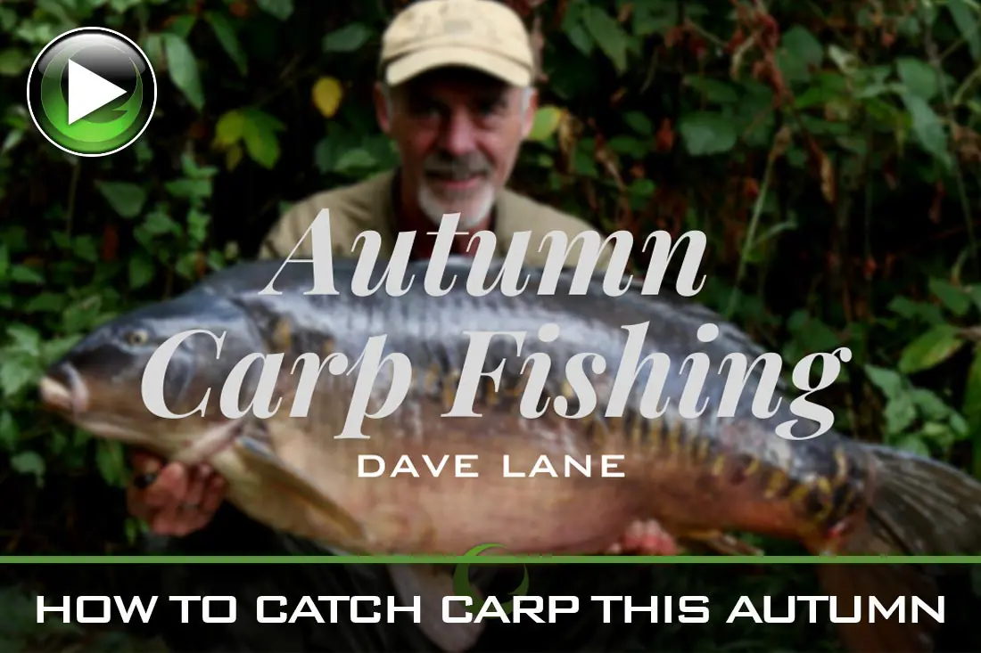 Carp Fishing – How To Catch Carp This Autumn – Video