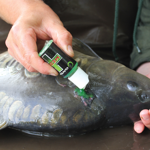 Medic Plus - Image 4