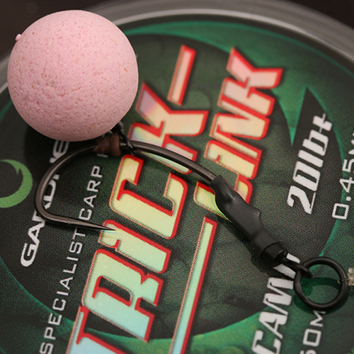 Ronnie Rigs - Image 4