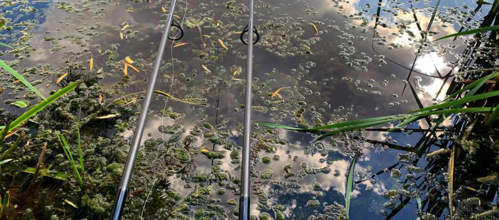 Carp Fishing – Fishing Weedy Waters – Rick Golder