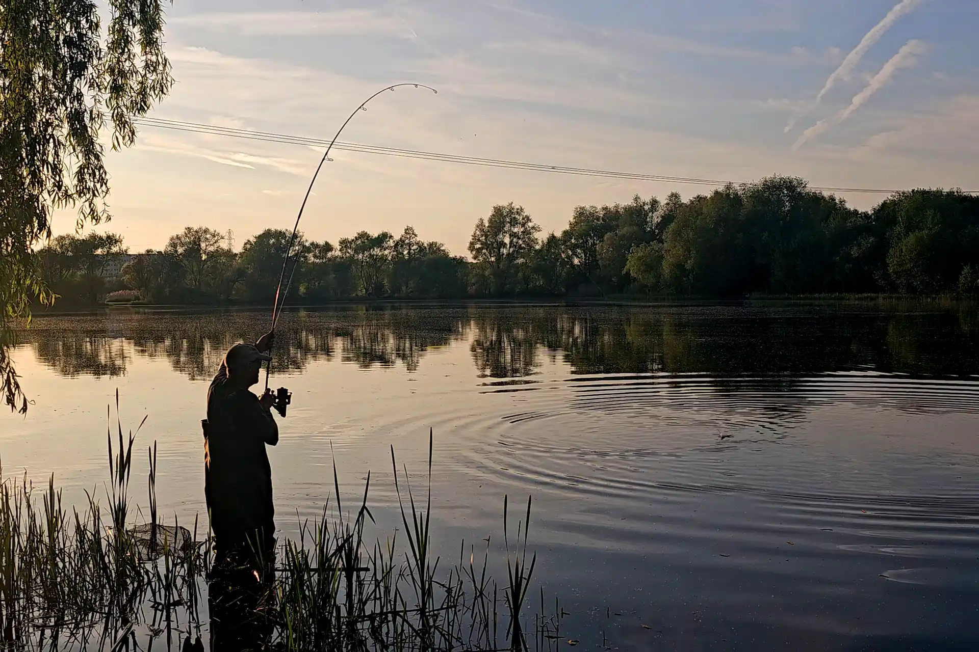 Chasing a Dream Carp – Dave Lane